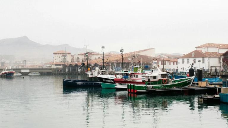 Restaurant Hodeilur Saint-Jean-de-Luz : chalutiers colorés amarrés dans le port sous la brume, façades blanches et toits basques