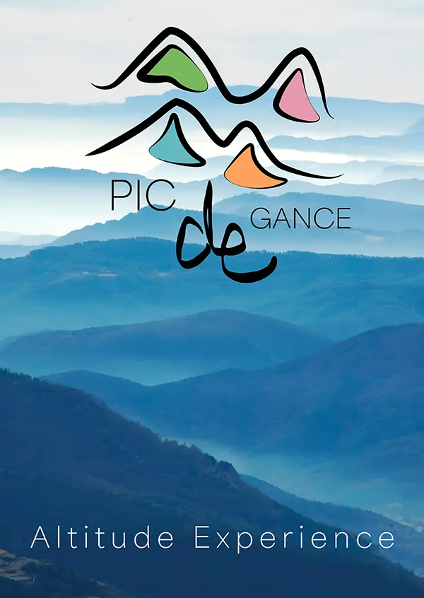 Damien Digital, design UXUI, designer, Pic de Gance, station de ski, affiche version 2 logo Altitude Experience sur fond de montagnes brumeuses bleu