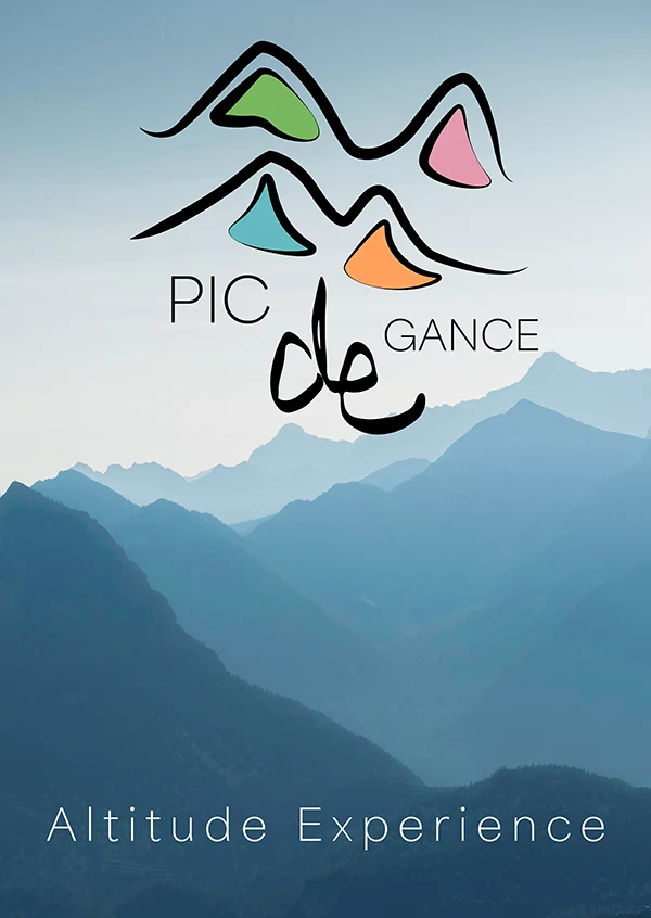 Damien Digital, design UXUI, designer, Pic de Gance, station de ski, affiche version 3 logo Altitude Experience sur fond de montagnes bleu clair