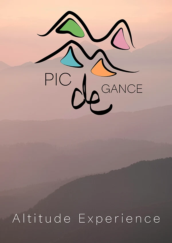 Damien Digital, design UXUI, designer, Pic de Gance, station de ski, affiche version 4 logo Altitude Experience sur fond de montagnes rose crépuscule