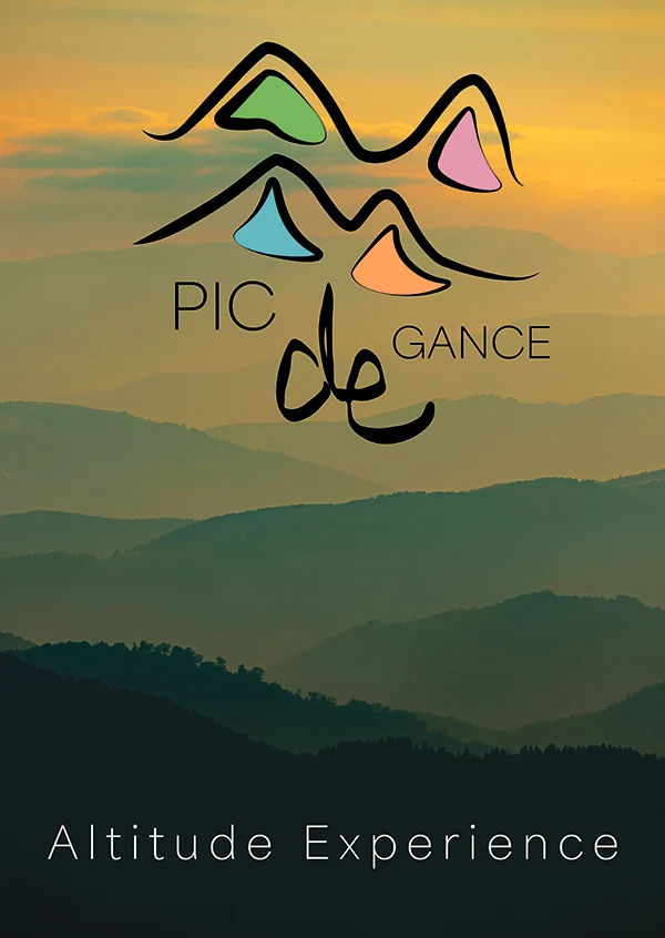 Damien Digital, design UXUI, designer, Pic de Gance, station de ski, affiche version 5 logo Altitude Experience sur fond de montagnes vert doré coucher de soleil