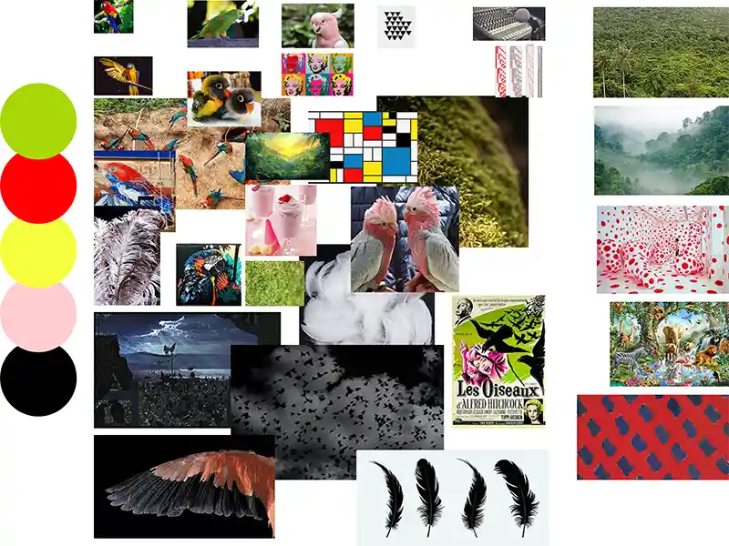 Damien Digital, design UXUI, designer, Parrot Sound, identité de marque, moodboard de recherche graphique, perroquets plumes couleurs vert rouge rose noir palette chromatique