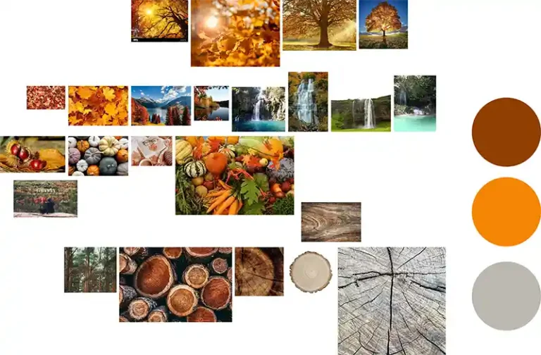Damien Digital, design UXUI, designer, Pic de Gance, station de ski, moodboard saison automne, palette chromatique orange brun gris, feuilles arbres bois