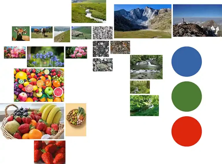 Damien Digital, design UXUI, designer, Pic de Gance, station de ski, moodboard saison printemps, palette chromatique bleu vert rouge, fleurs fruits montagne